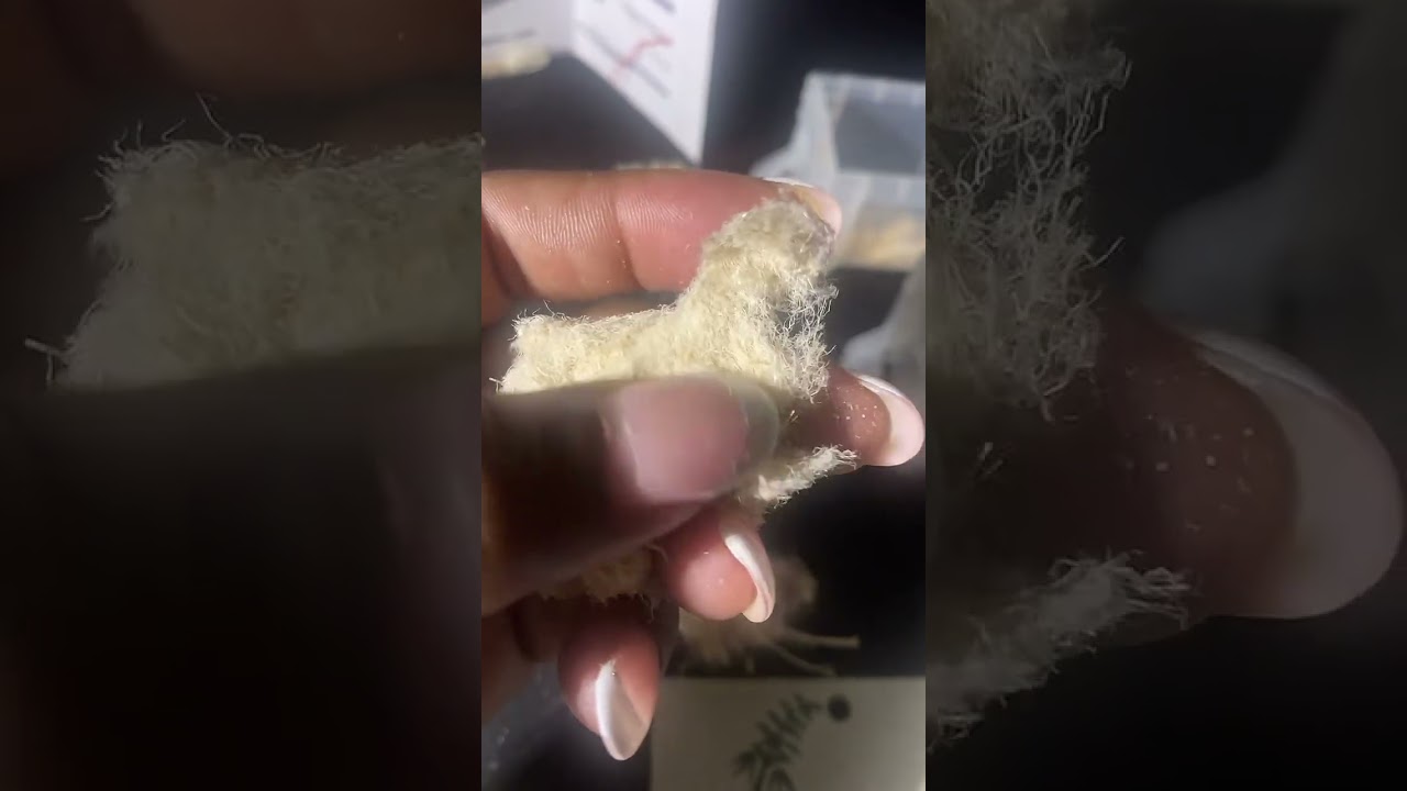 Introducing&hellip;.. HEMP!!!!