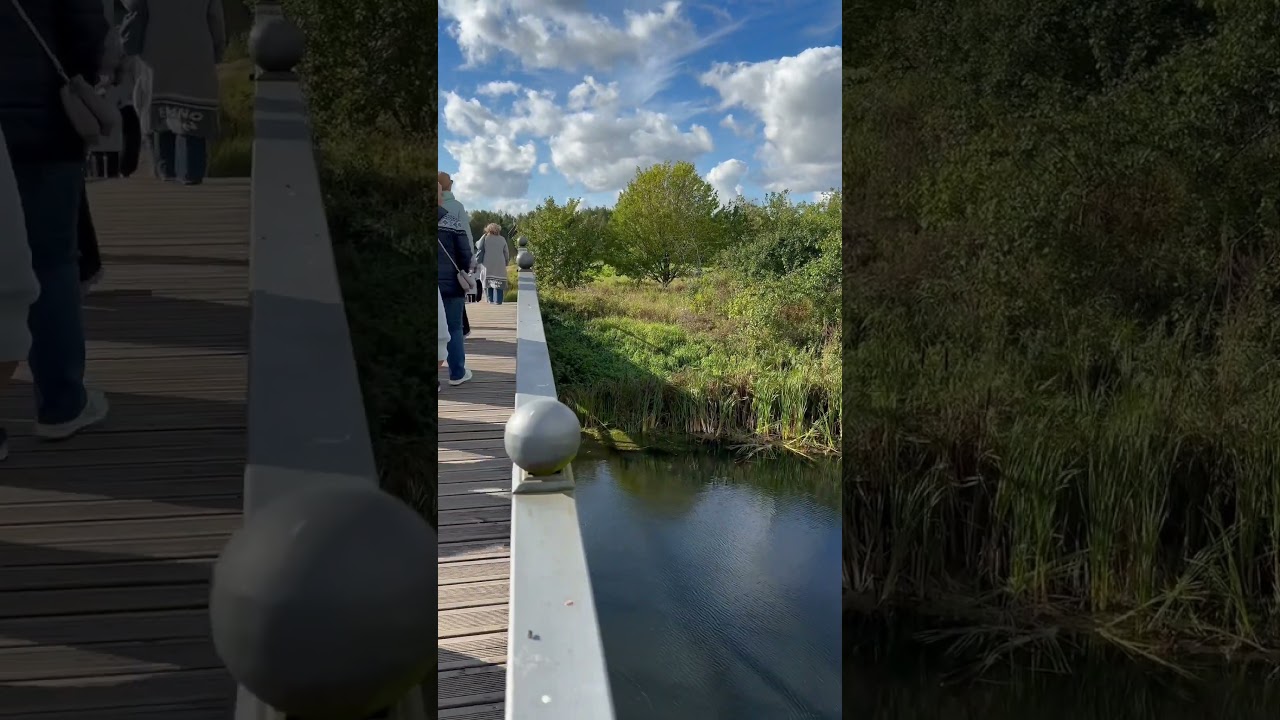 Амадэй - Расскажи мне милая💚 