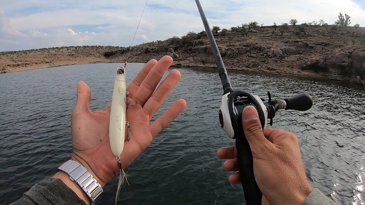 SEÑUELO MÁGICO salva el día de Pesca!