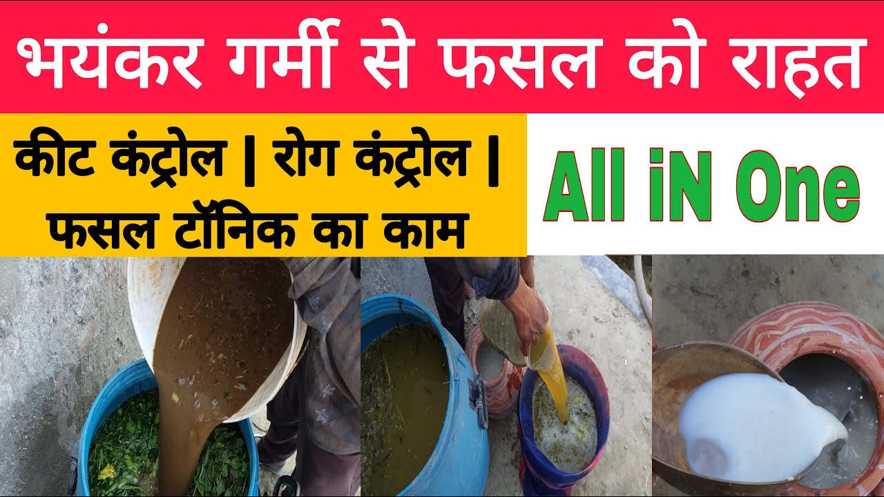 ना मात्र खर्चे में | भयंकर गर्मी में फसलों के लिए कमाल के तीन स्प्रे | save from high temperature |