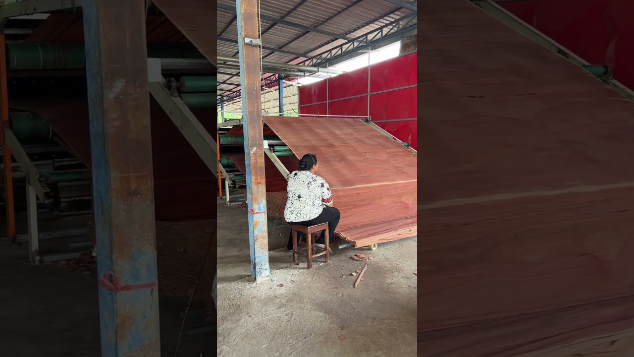 Keruing face veneer producing, #keruing #gurjan #faceveneer #woodveneer #veneer #plywood #factory