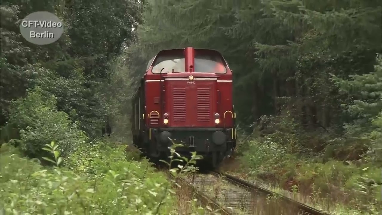 Exot- die Baureihe V65