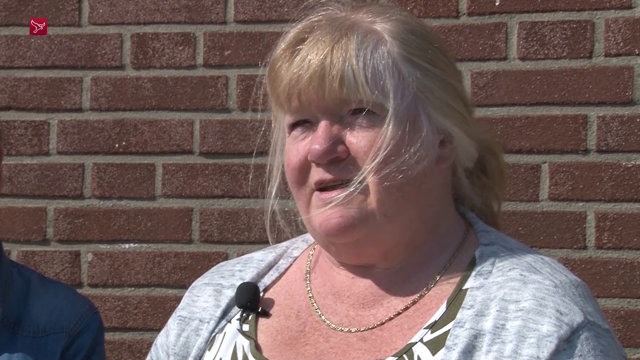 Serie: De Wissewasjes in Almere Haven, deel 1