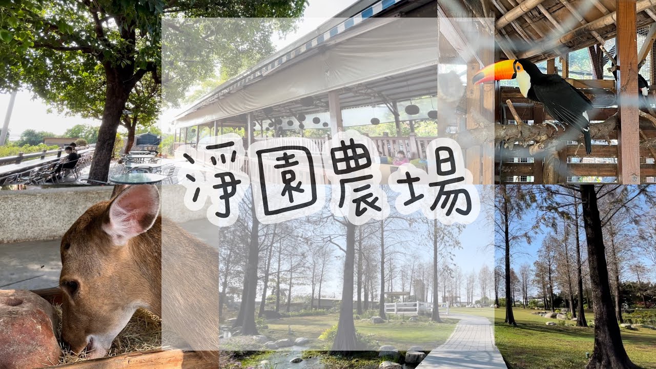 VLOG｜淨園農場。可愛動物們，體驗餵食。大面積造林，淨化眼球。