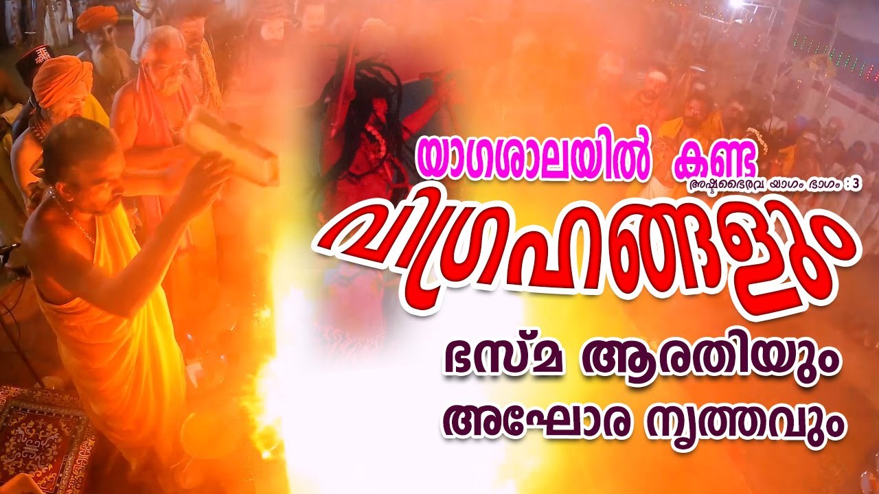 ഭസ്മ ആരതിയും അഘോരനൃത്തവും / അഷ്ടഭൈരവ യാഗം 2024 | Part#3 |