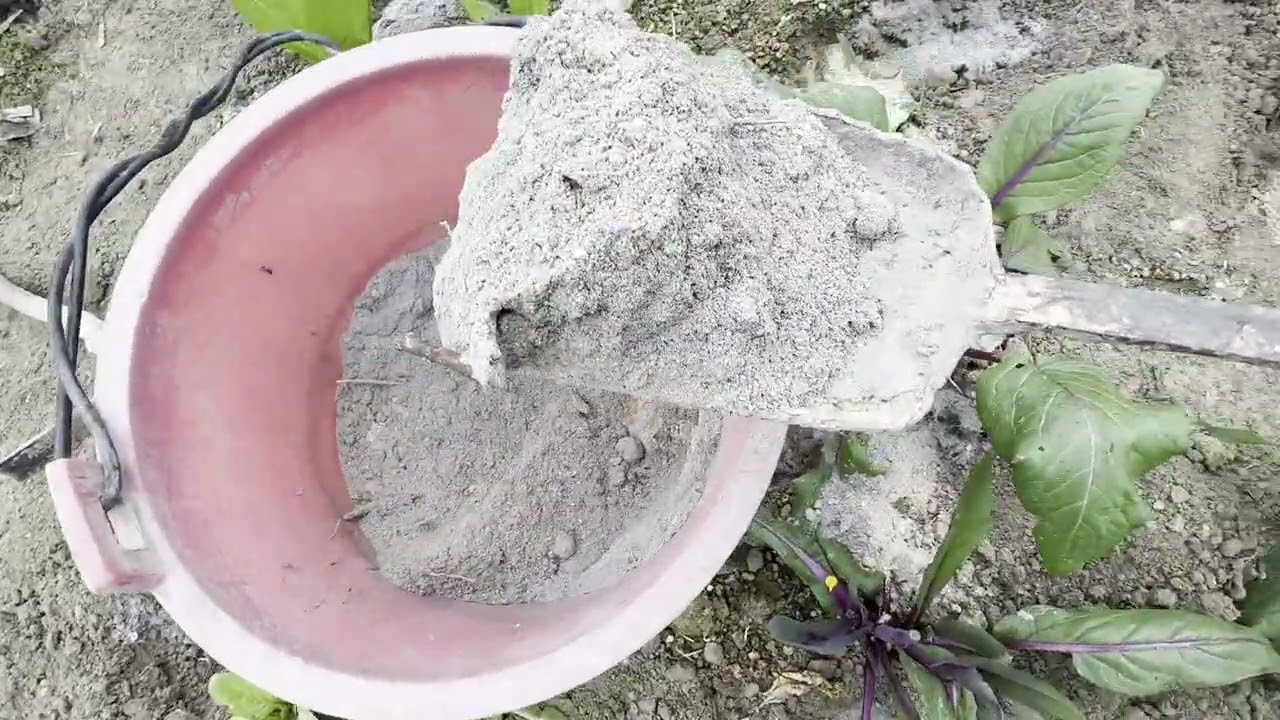 亲手种的紫菜苔终于可以得吃了，准备再给它施点肥