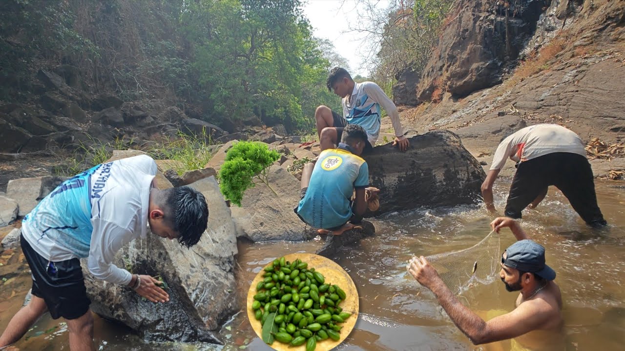 फळांचा आणि पाल्याचा मेणा घालून  मासे पकडण्याची पारंपरिक पद्दत | traditional fishing @TejaGurav 