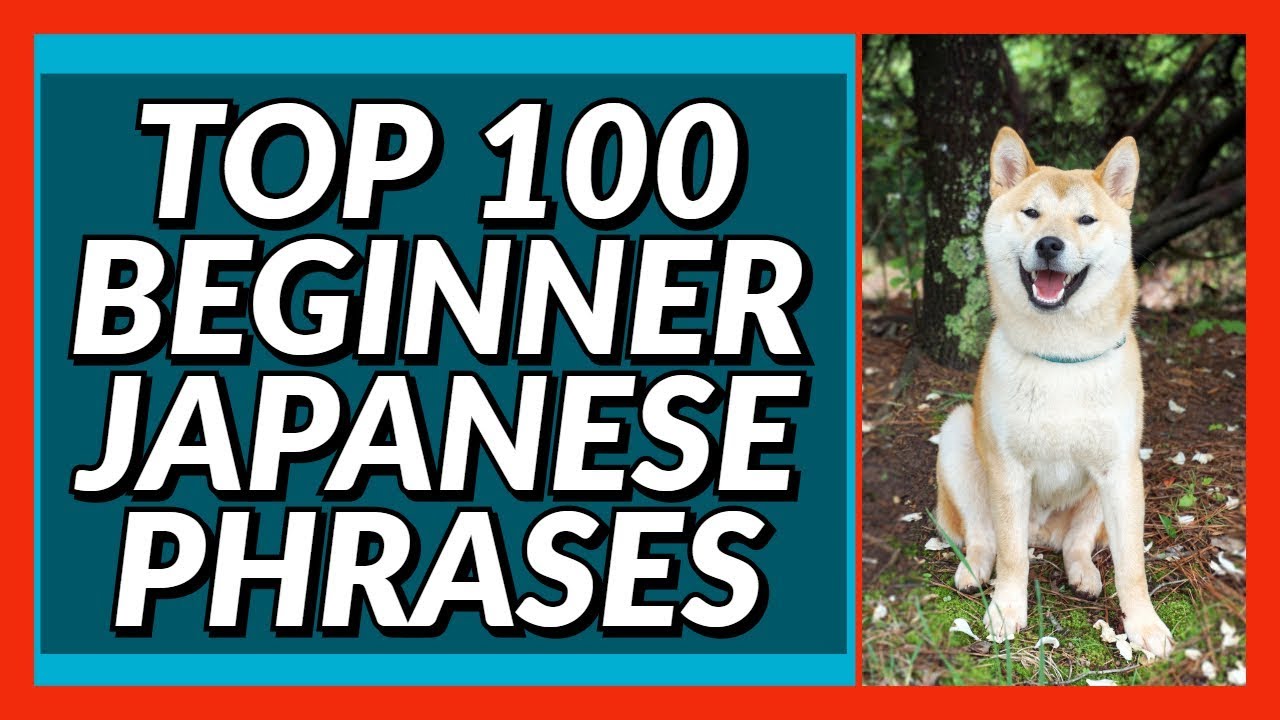 Top 100 ESSENTIAL Beginner Japanese Phrases