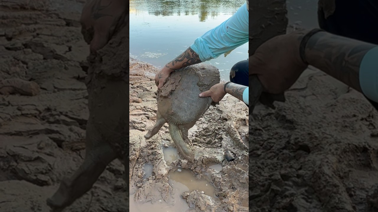 Carnada GIGANTE para PESCADO GIGANTE⁉️😱😱 #fishing #pesca #catan