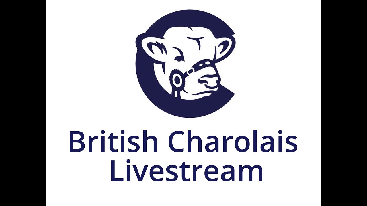 Charolais Sale at Stirling Bull Sales 10.00 am on Monday 5th May '25