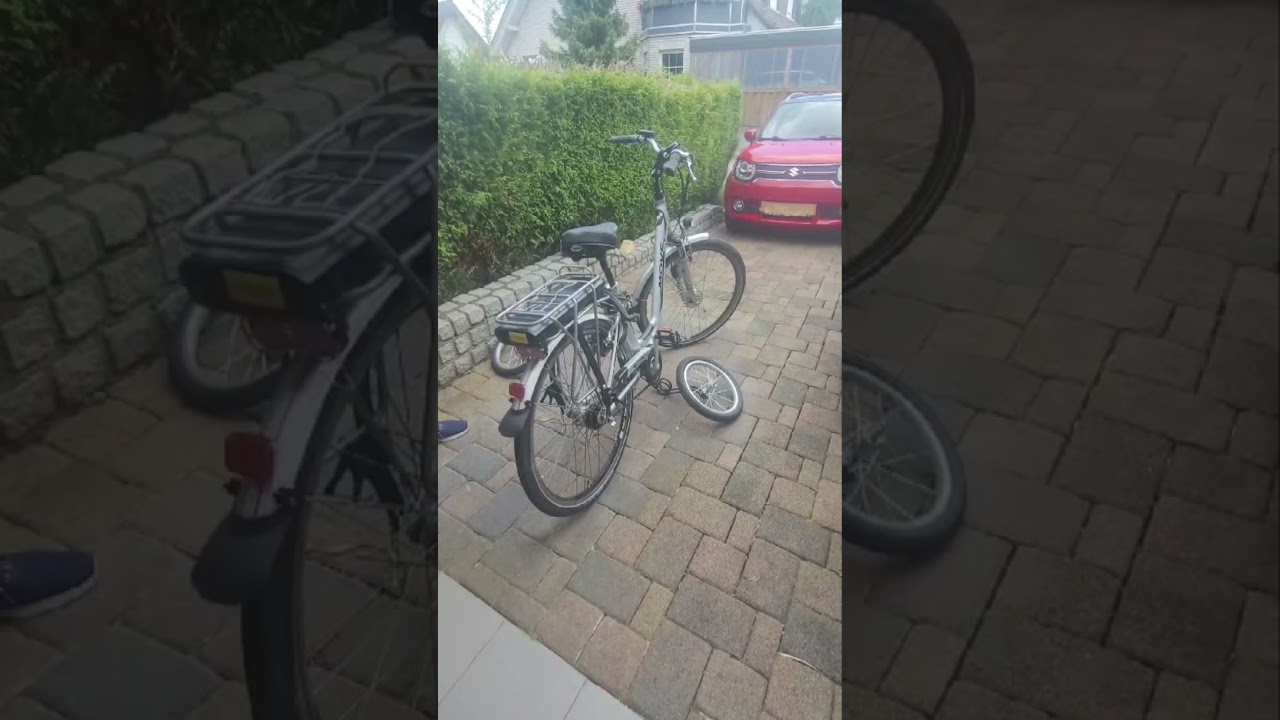 Schnelle Demontage und Montage Swinging Wheels