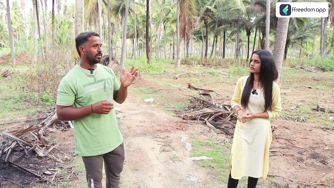 Pig Farming in Telugu: How to Start, Business Plan, and Profit Potential for Farmers