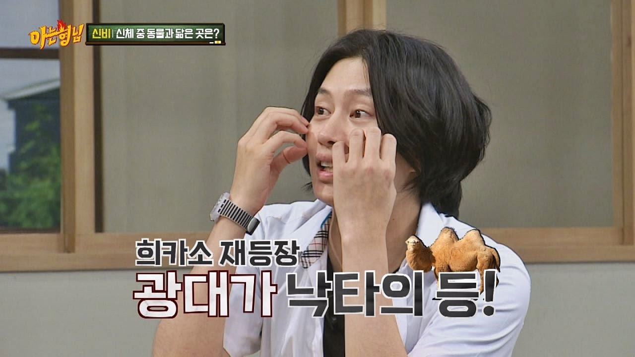 낙타 닮은 꼴 신비?! 돌I 희카소의 예술적 소견(?) 