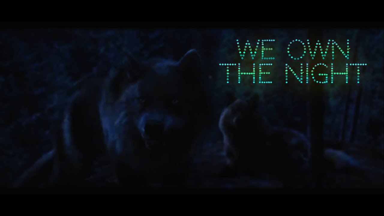 Twilight Wolves 