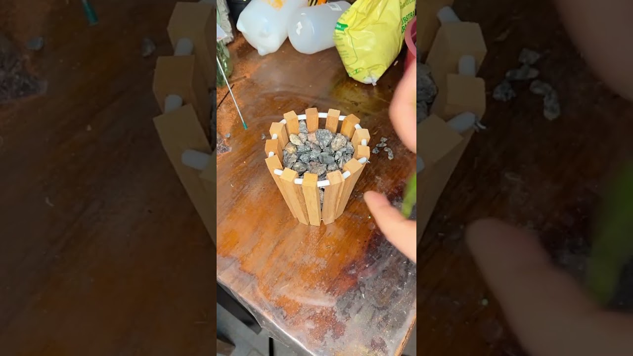Duas formas de plantar usando cachepo de madeira &hellip;