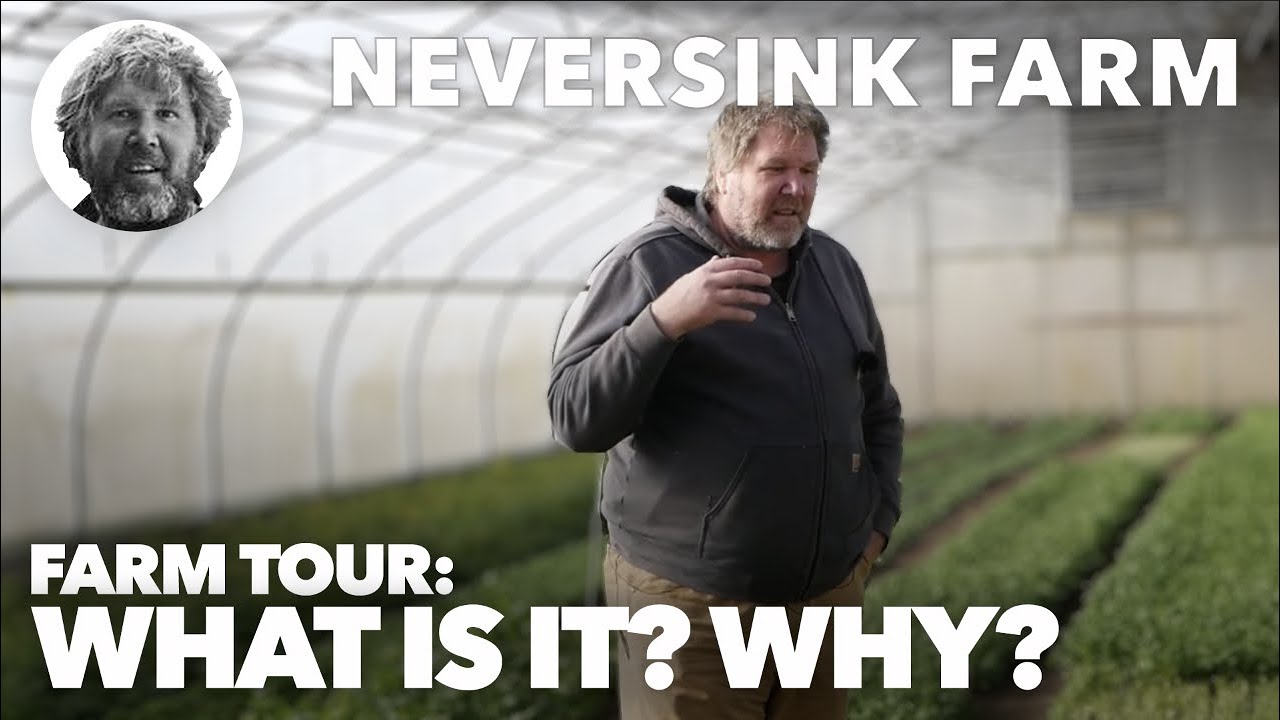 Neversink No Till. What is it, and Why?