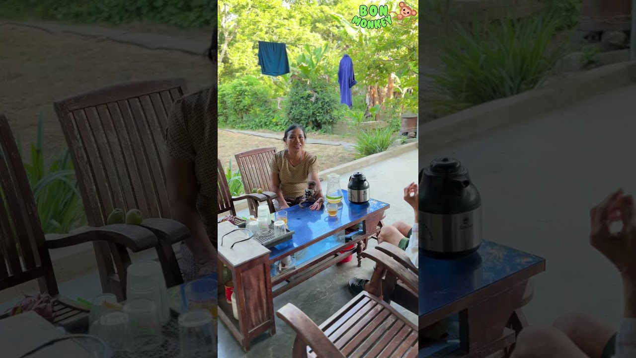 Baby monkey Bon explores the countryside life with Grandma Ly and Grandpa