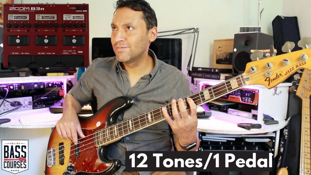 12 Famous Bass Tones, 1 Cheap Bass Effects Pedal (Zoom B3N)
