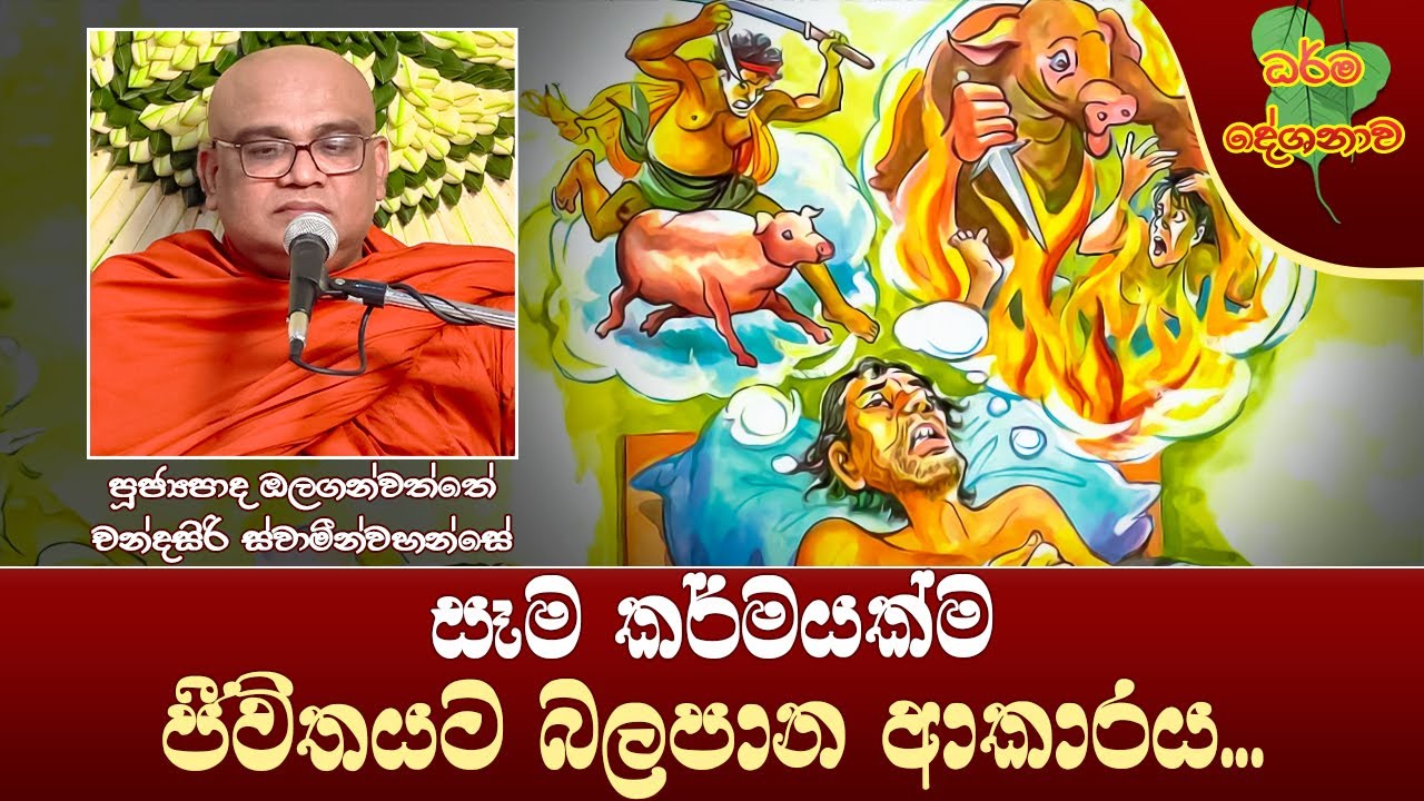 Ven Olaganwatte Chandrasiri Thero | 2024-07-04 | 10.00 PM (සෑම කර්මයක්ම ජීවිතයට බලපාන ආකාරය...)