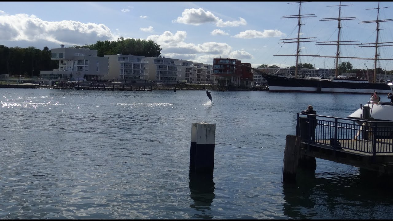 4K Delfin Travemünde September 2023
