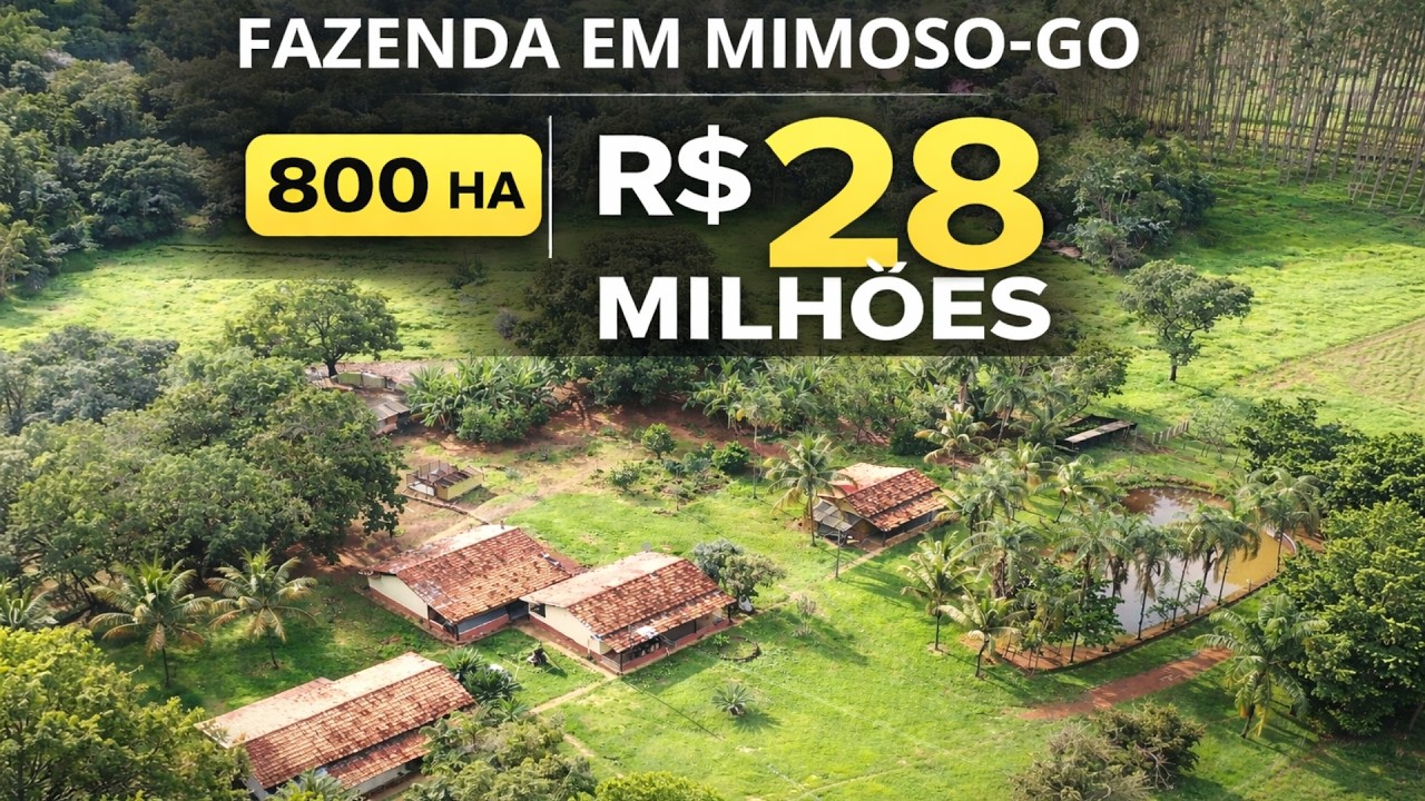 Fazenda Pecuária – 800 ha em Goiás com Confinamento Operacional para 1000 bois e Acesso Asfaltado