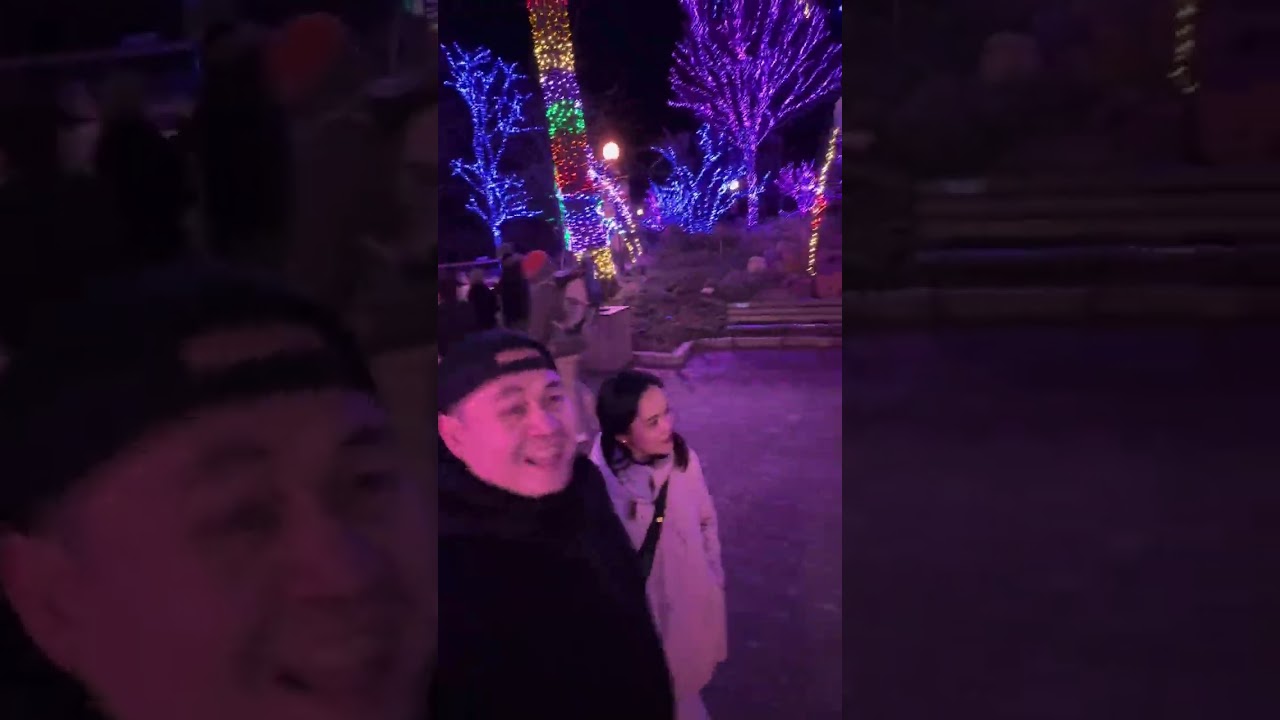 Lincoln Park Zoo Lights 