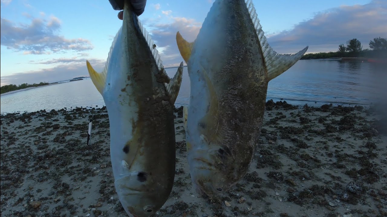 APOLLO BEACH power plant Fishing EXPLODES behind first major cold front!