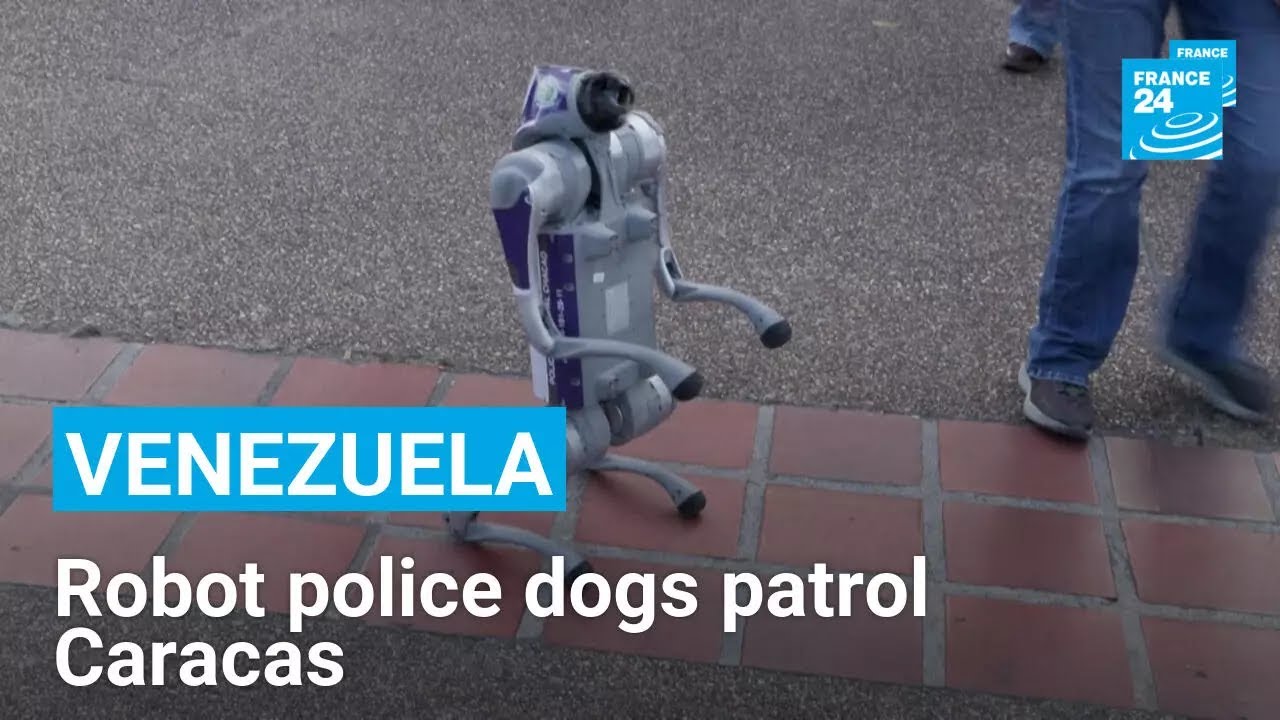 Venezuela: The robot dogs policing the streets of Caracas &bull; FRANCE 24 English