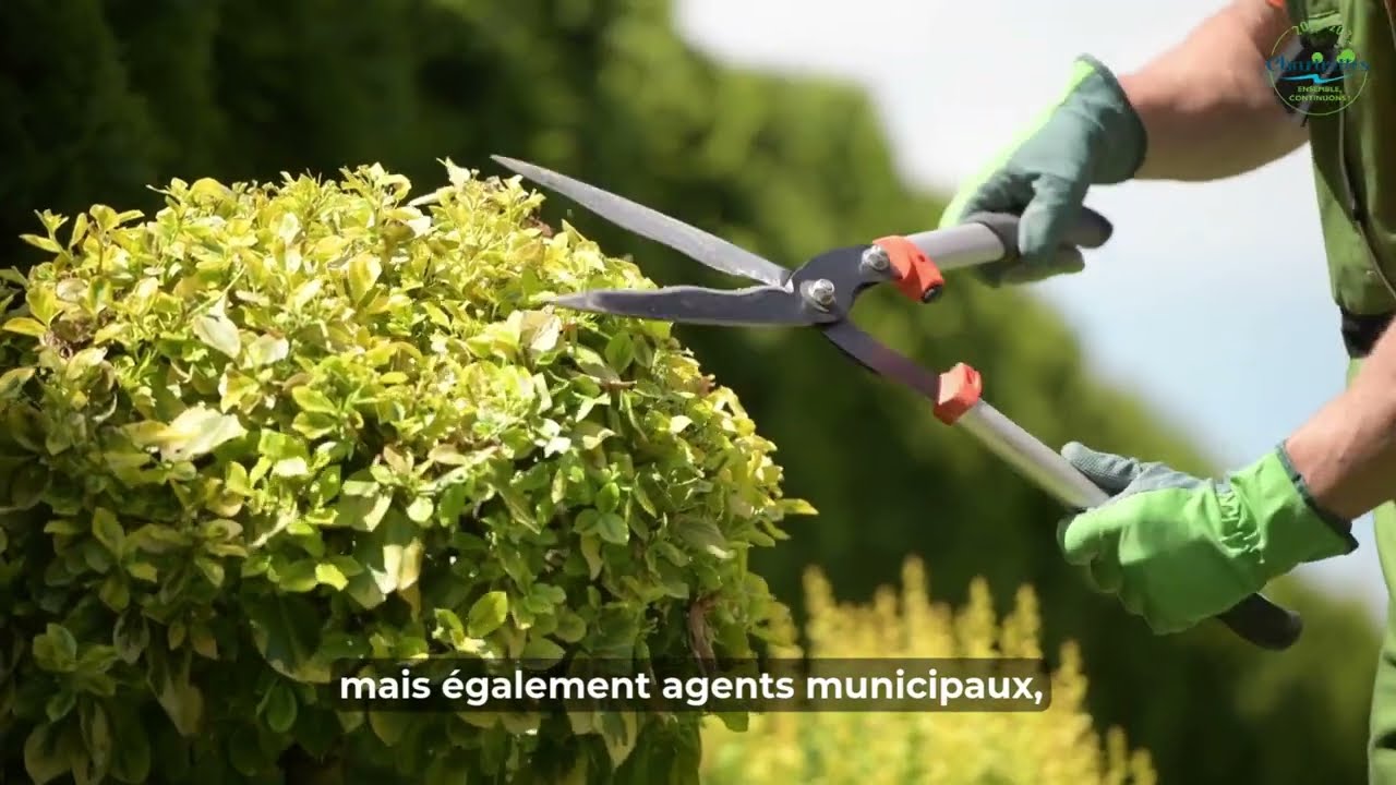 Chapitre 1 Expérience et Résilience