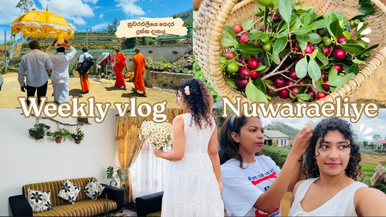 Weekly Vlog | නුවරඑලියෙ ගෙදර දුන්න දානය 💐✨ living Alone Diaries #vlog #srilanka #aesthetic 