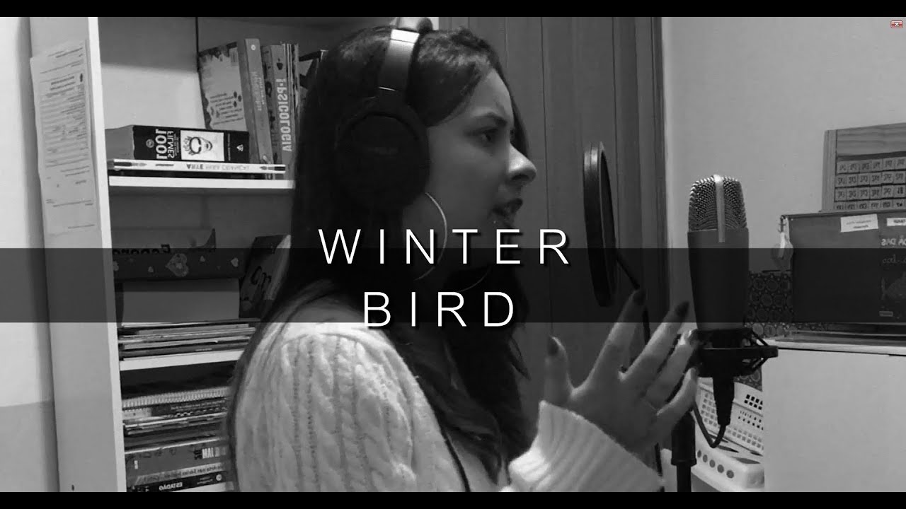 Winter Bird - AURORA (cover)