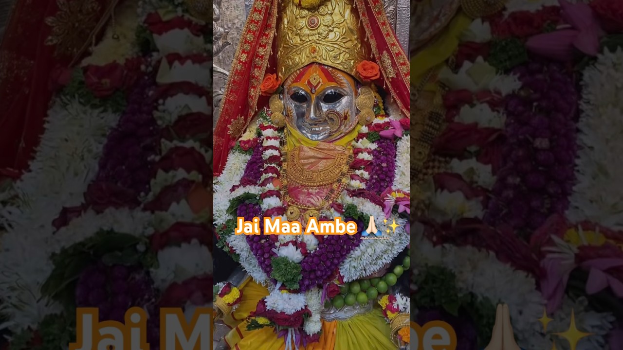 Mata Ambe Navratri 2025 | Navratri Celebration in India | Festival Vibes 🌸✨ #navratri #festivals