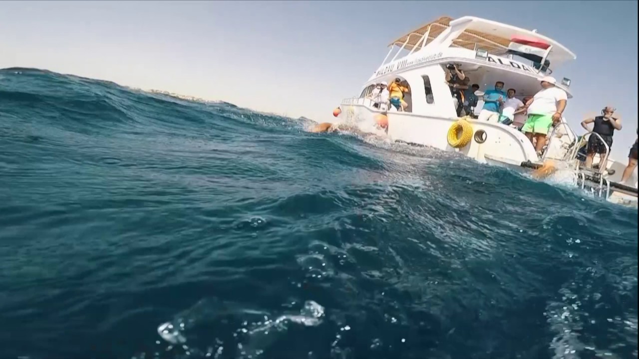 رحلة عبور المانش برعاية مجموعة #حديد_المصريين