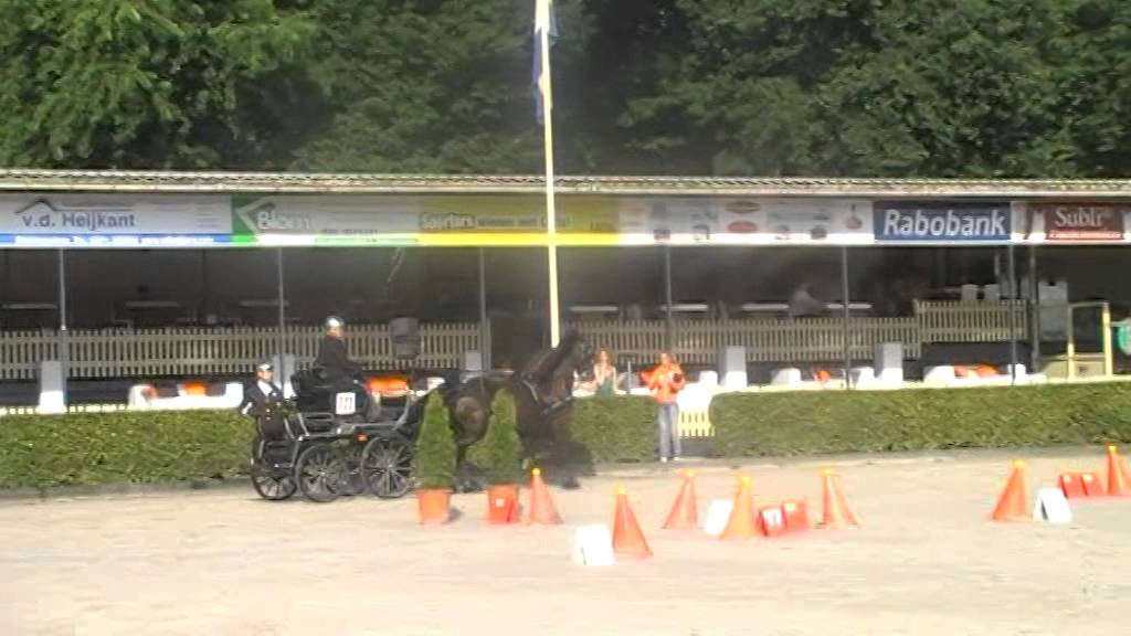 Paul Sueters, Hippiade Kampioen Z Vaardigheid 2015