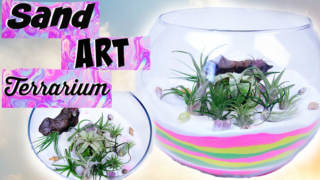 DIY Sand Art Terrarium | Air Plant Room Decor