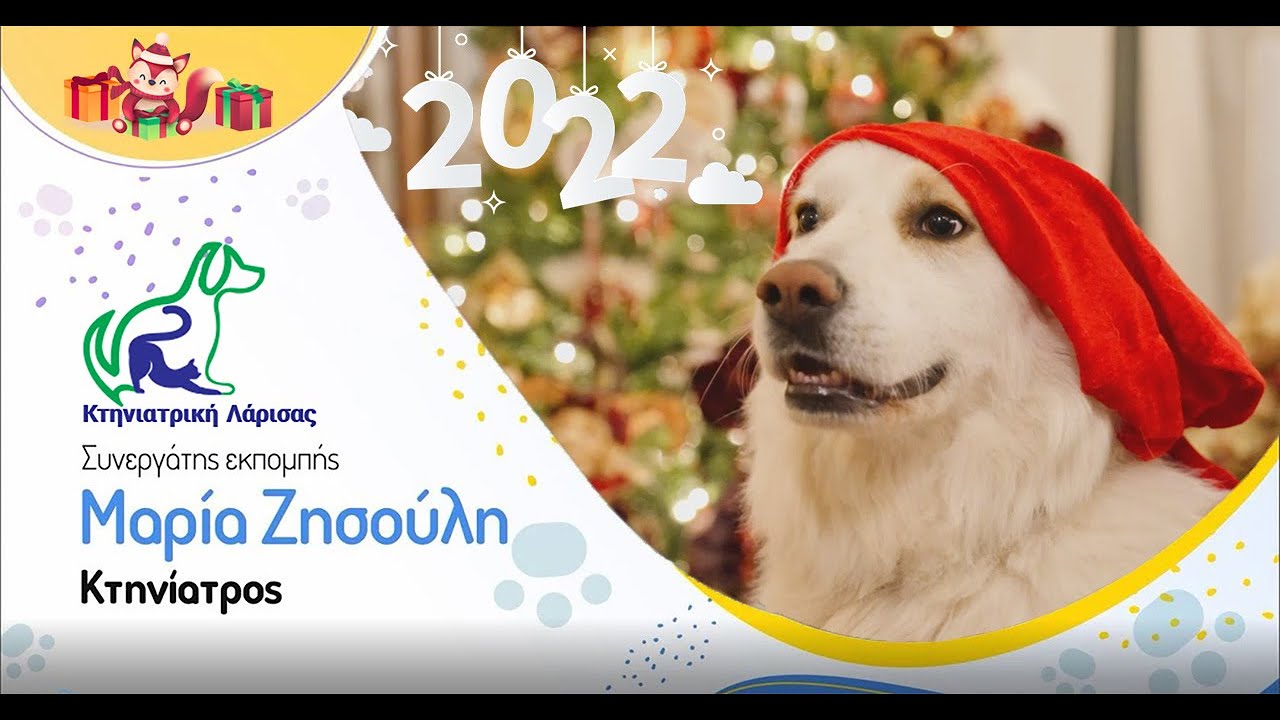Κατοικίδια και προβλήματα που δημιουργούν μέσα στο σπίτι