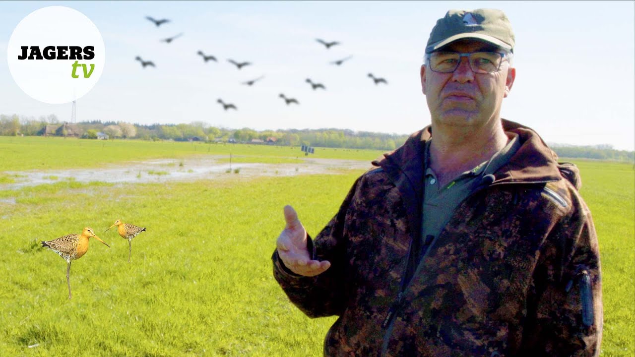 JagersTV - Weidevogels in Het Lierderbroek