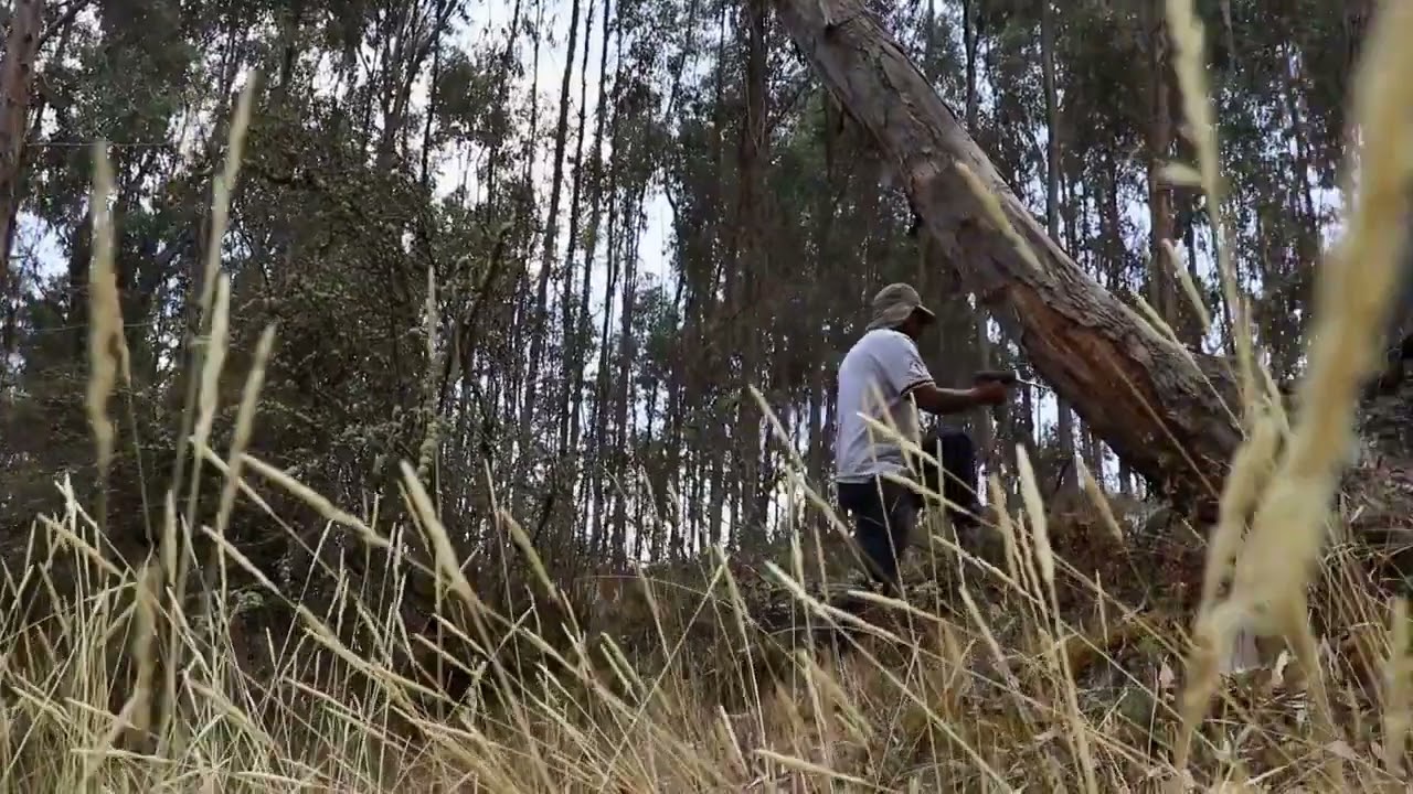 GOLD X-FINDER versión 2022 kit completo hallazgo de TESORO- monedas de oro en una casa antigua.