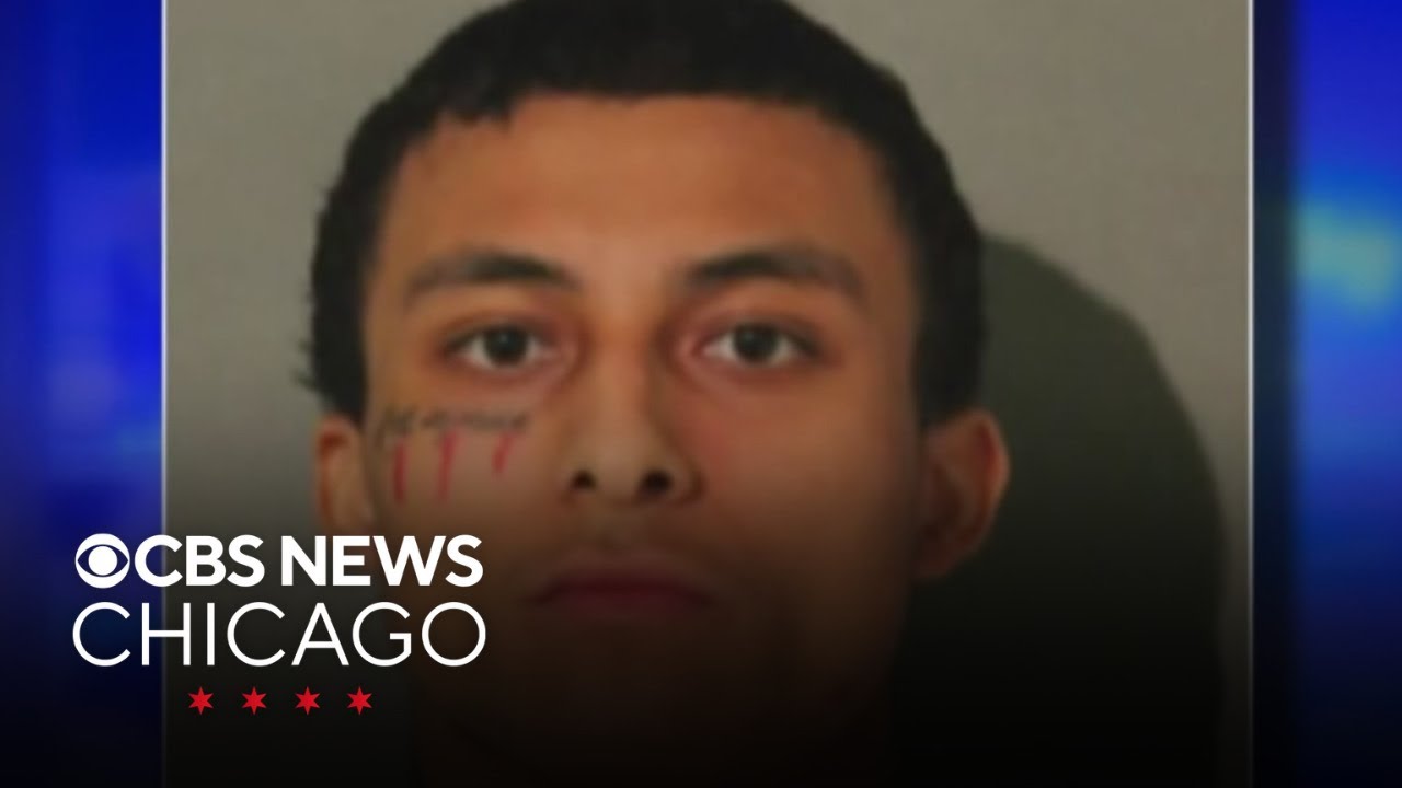 CPD Officer Ella French's killer sentenced to life in prison at emotional hearing