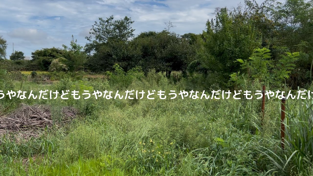 もうやなんだけどもうやなんだけどもうやなんだけどもうやなんだけど