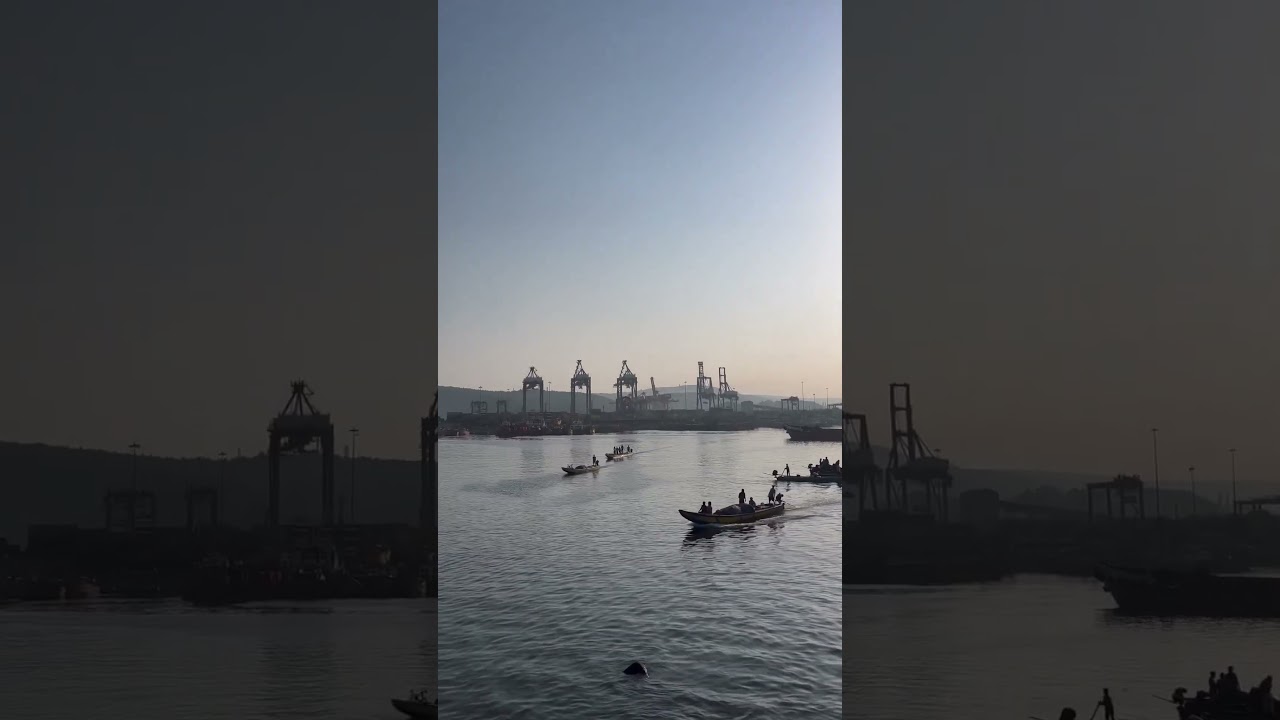 Fishing harbour in Vizag | Fishing | Vizag | Visakhapatnam | marinelife #vizag #fishing #port