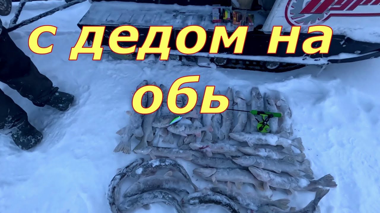 Щука и окунь на вибы. Рыбалка с дедом.