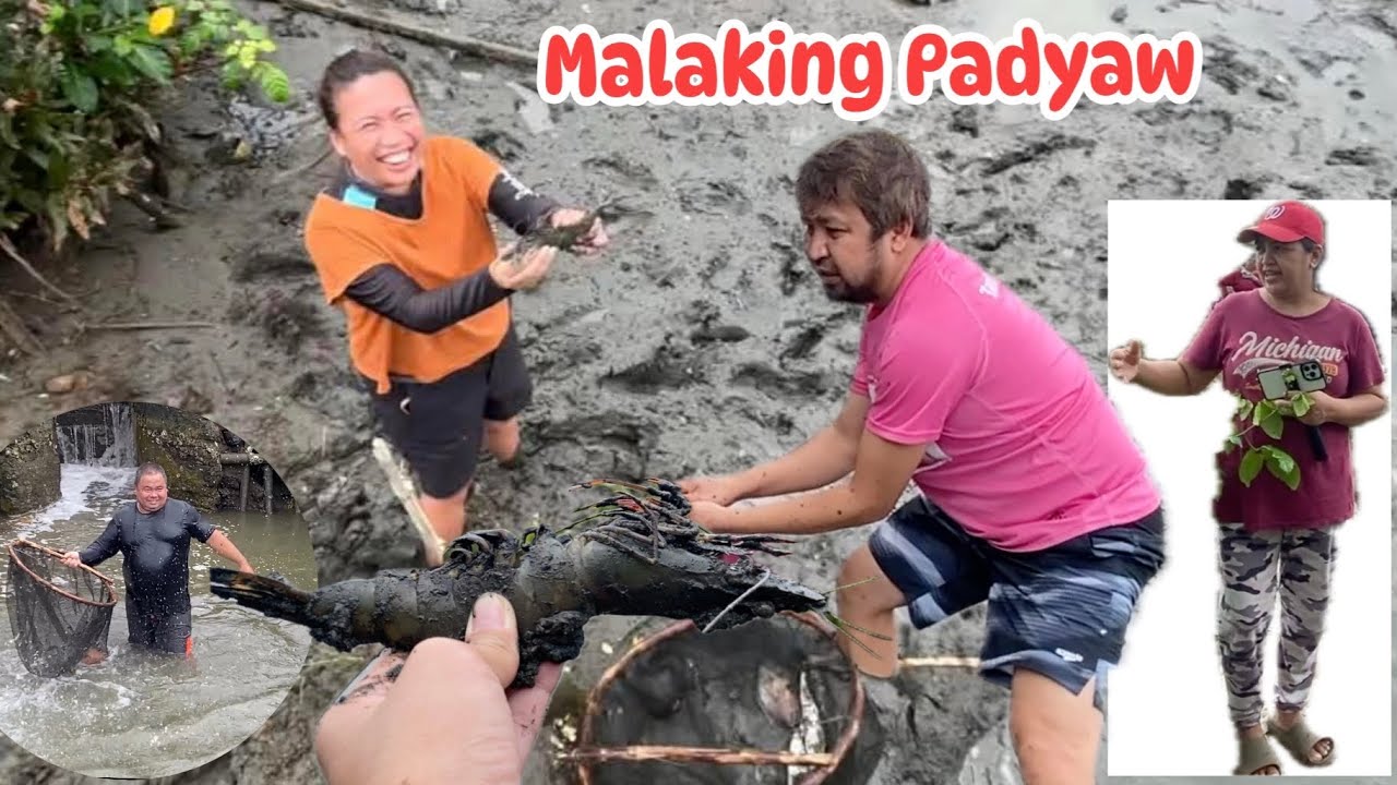 Lumusong ako sa pagpapaiga ng palaisdaan | Naka dakma ng naglalakad na padyaw 