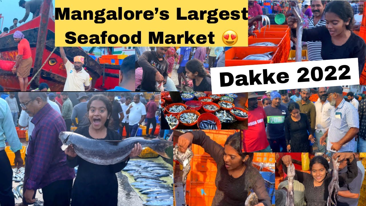 Mangalore’s Largest Fish Market Seafood Dakke😍Bunder Rakshita tulu talks|#dakke #seafood #mangalore
