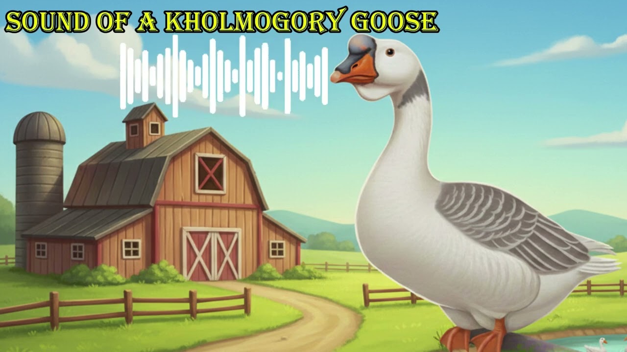SOUND OF A KHOLMOGORY GOOSE 🔊 What does a kholmogory goose sound