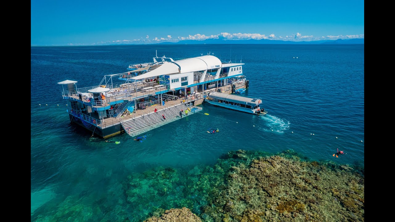 Reef Magic Pontoon