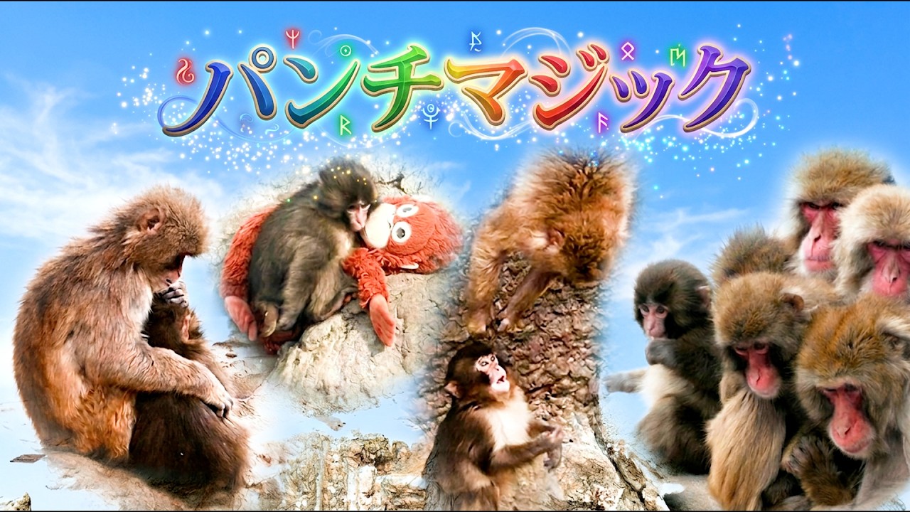 パンチくんに密着🐵PUNCH MAGIC☆