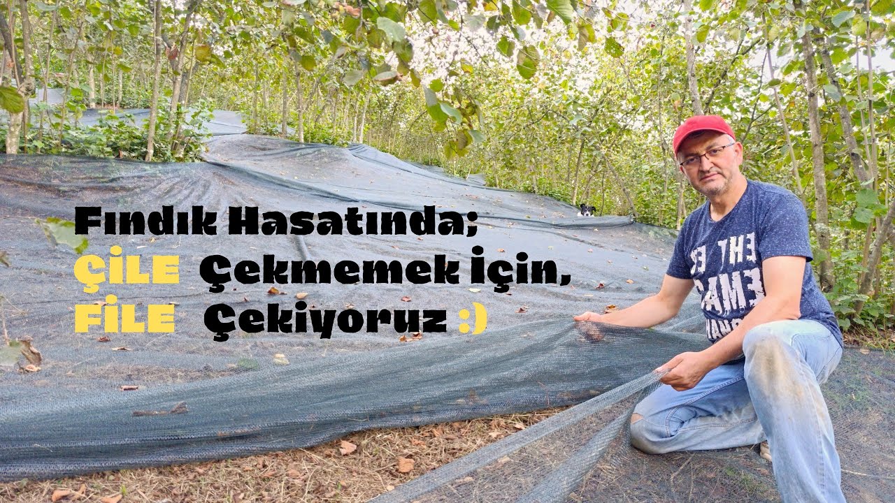 Fındık Bah&ccedil;emize İlk Kez HASAT FİLESİ &Ccedil;ekiyoruz !! #reklamdeğildir 