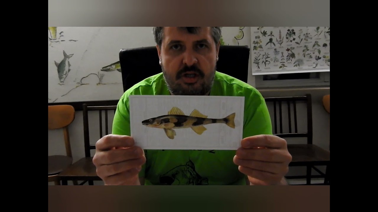 Ohrožené a chráněné rybí druhy MRS