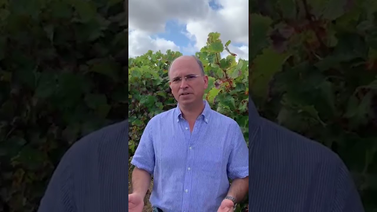Cartuxa: Portfolio Tasting Welcome